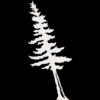 Logo Paul Smith's College