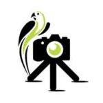 Logo Camera Jungle Ltd.