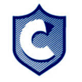 Logo Chrome Wealth Strategy Solutions (Pty) Ltd.