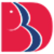 Logo Babu Banarasi Das University