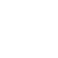 Logo Thirdwayv, Inc.