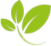 Logo Lapeer County Community Foundation