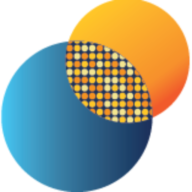 Logo The Seurat Group LLC