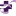 Logo CHRISTUS Health