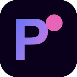 Logo PlatinumOne Business Services Ltd.