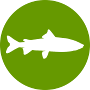 Logo Whitefish Community Foundation