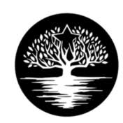 Logo Lone Star Justice Alliance