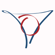 Logo CTRL Marine Solutions Ltd.