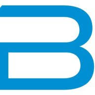 Logo BLSG AG