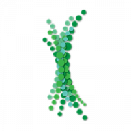 Logo Dph Biologicals