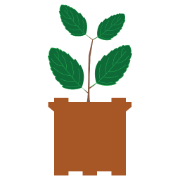 Logo Srifin Credit Pvt Ltd.