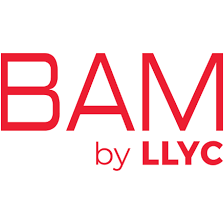 Logo BAM The Agency